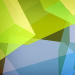 基礎断熱とシロアリの関係～被害と対策について～