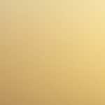 基礎断熱とシロアリの関係～被害と対策について～