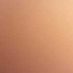 基礎断熱とシロアリの関係～被害と対策について～