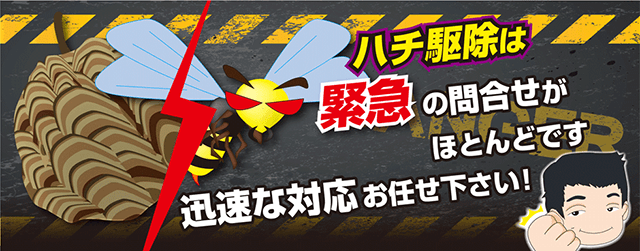 ハチ駆除は緊急の問い合わせがほとんどです。迅速な対応はお任せ下さい！