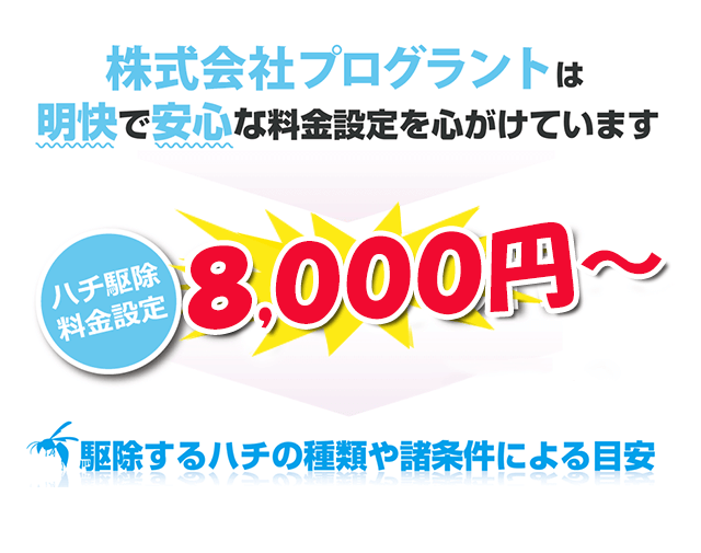 株式会社プログラントは明快で安心な料金設定を心がけています。8000円～