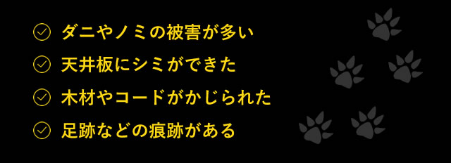 ダニやノミの被害が多い、天井板にシミができた、木材やコードがかじられた、足跡などの痕跡がある