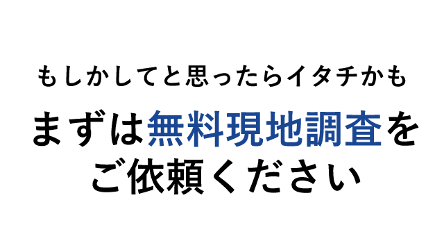 もしかしてと思ったらイタチかも、まずは無料現地調査をご依頼ください