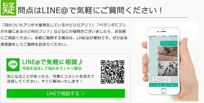 LINEで相談する 友だち追加する