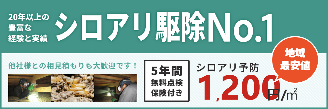 20年以上の豊富な経験と実績 熊本のシロアリ駆除No.1 