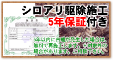 シロアリ駆除施工5年保証付き