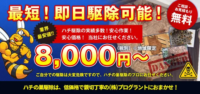 最短！即日駆除可能！業界最安値！8000円～ 熊本のハチの巣駆除は、低価格で安心丁寧のプログラントにお任せください！