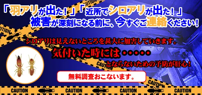 「羽アリが出た！」「近所でシロアリが出た！」被害が深刻になる前に今すぐご連絡ください！