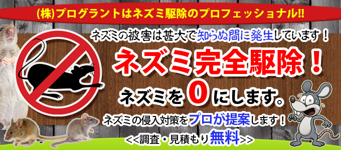 プログラントはネズミ駆除のプロフェッショナル。ネズミ完全駆除！ネズミを０にします。