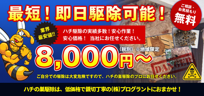 最短！即日駆除可能！ご相談・お見積もり無料！熊本のハチの巣駆除は、低価格で親切丁寧のプログラントにお任せください！