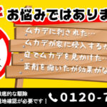 【調査・見積り無料】熊本・佐賀のムカデ対策・駆除はプログラントにおまかせください！