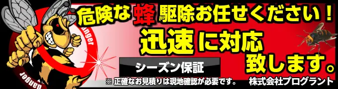 危険な蜂駆除お任せください！迅速に対応致します。