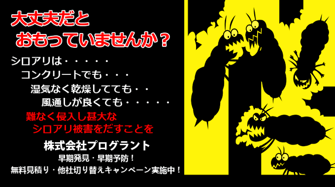 大丈夫だとおもっていませんか？シロアリはコンクリートでも湿気なく乾燥してても風通しが良くても難なく侵入し甚大なシロアリ被害をだすことを。