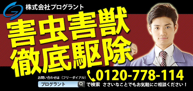 害虫害獣徹底駆除 些細なことでもお気軽にご相談ください。