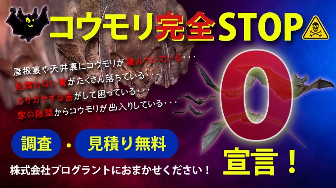 コウモリ完全STOP 調査・見積もり無料