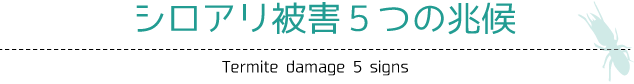 シロアリ被害５つの兆候