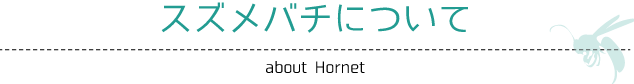 スズメバチについて