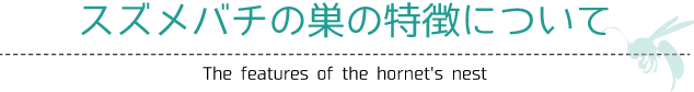 スズメバチの巣の特徴について