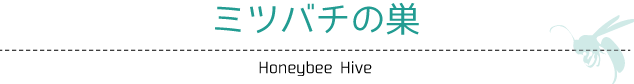 ミツバチの巣