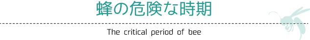 蜂の危険な時期