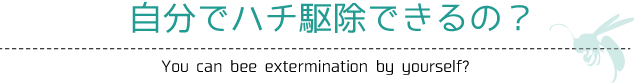 自分でハチ駆除できるの？