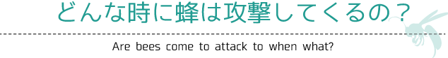 どんな時に蜂は攻撃してくるの？