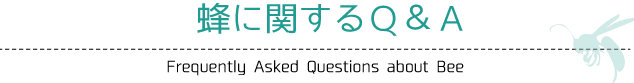 蜂に関するQ&A