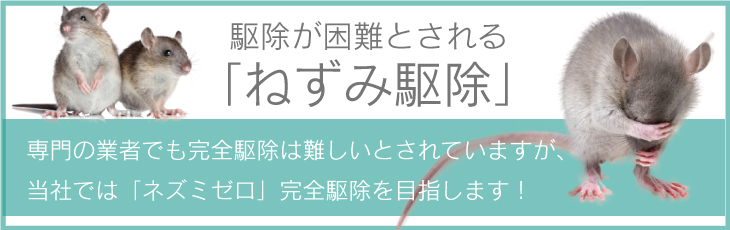 専門の業者でも完全駆除は難しいとされていますが、当社では「ネズミゼロ」完全駆逐を目指します！