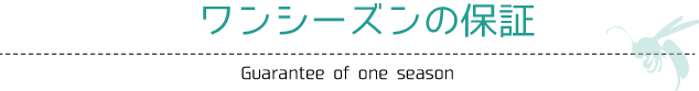 ワンシーズンの保証