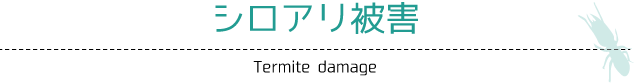 シロアリ被害