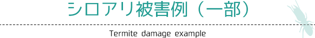 シロアリ被害例（一部）