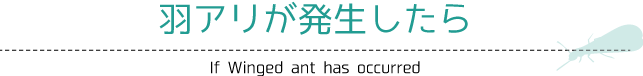 羽アリが発生したら