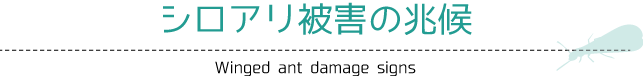 シロアリ被害の兆候