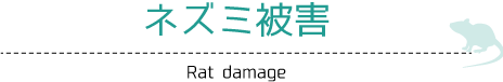 ネズミ被害