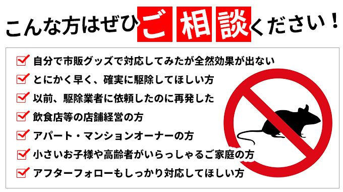 ネズミ駆除はプログラントへご相談ください。