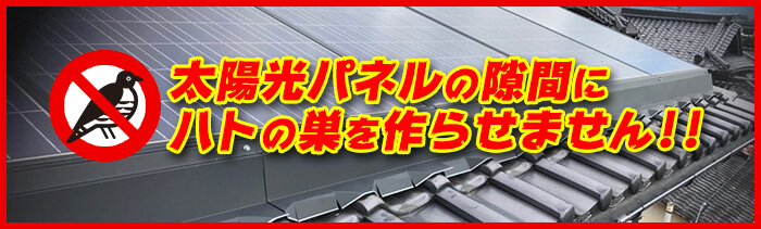 太陽光パネルの隙間に鳩の巣を作らせません！