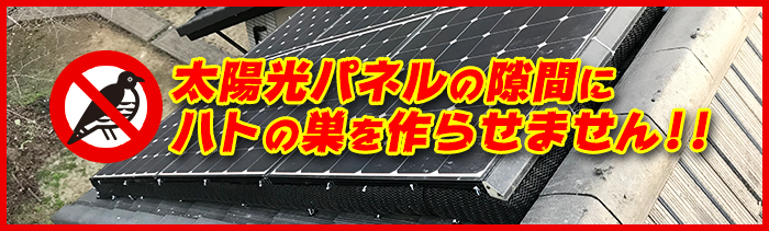 太陽光パネルの隙間に鳩の巣を作らせません！