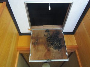 点検口にイタチの糞がっ!!
