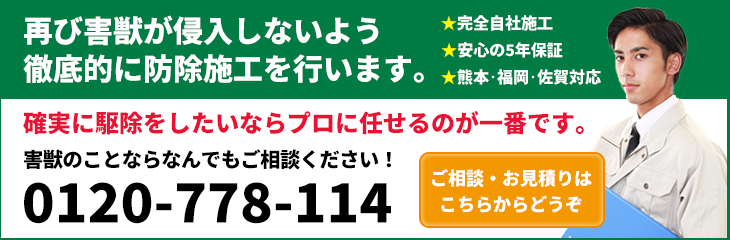 再び害獣が侵入しないよう徹底的に防除施工を行います。確実に駆除したいならプロに任せるのが一番です