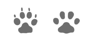 犬と猫の足跡比べ