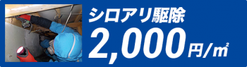 シロアリ駆除 2,000円/㎡