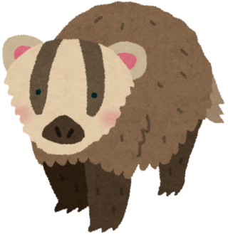 アナグマイラスト