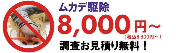 ムカデ駆除価格