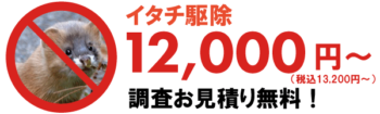 イタチ駆除価格