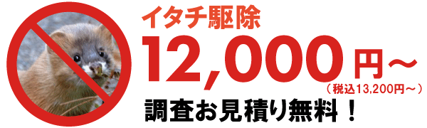 イタチ駆除価格