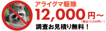 アライグマ駆除価格