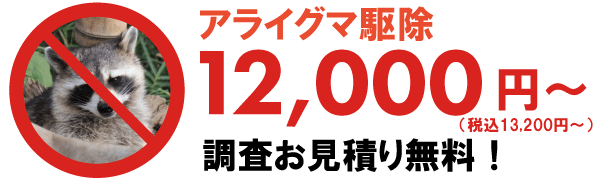 アライグマ駆除価格