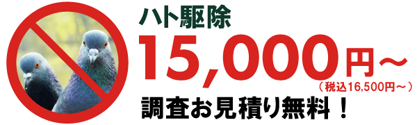鳩駆除価格