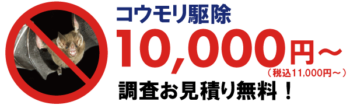 コウモリ駆除価格