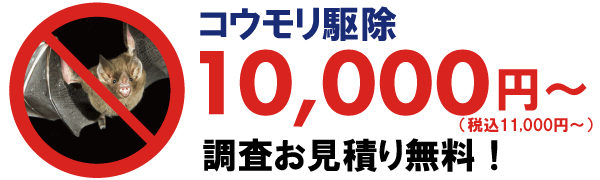 コウモリ駆除価格